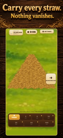 10 Million Hay Hunt iPhone screen 2